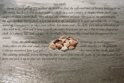 Sea Shells Echoes