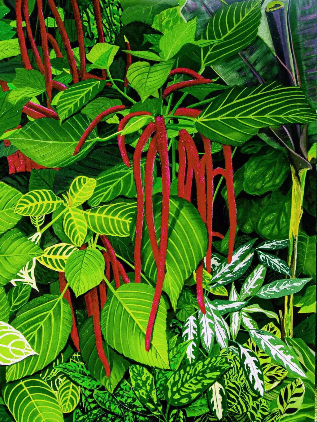 Red Hot Cats Tails