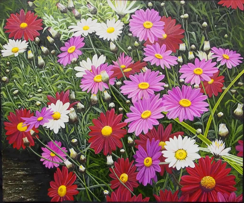 Daisies in Bloom