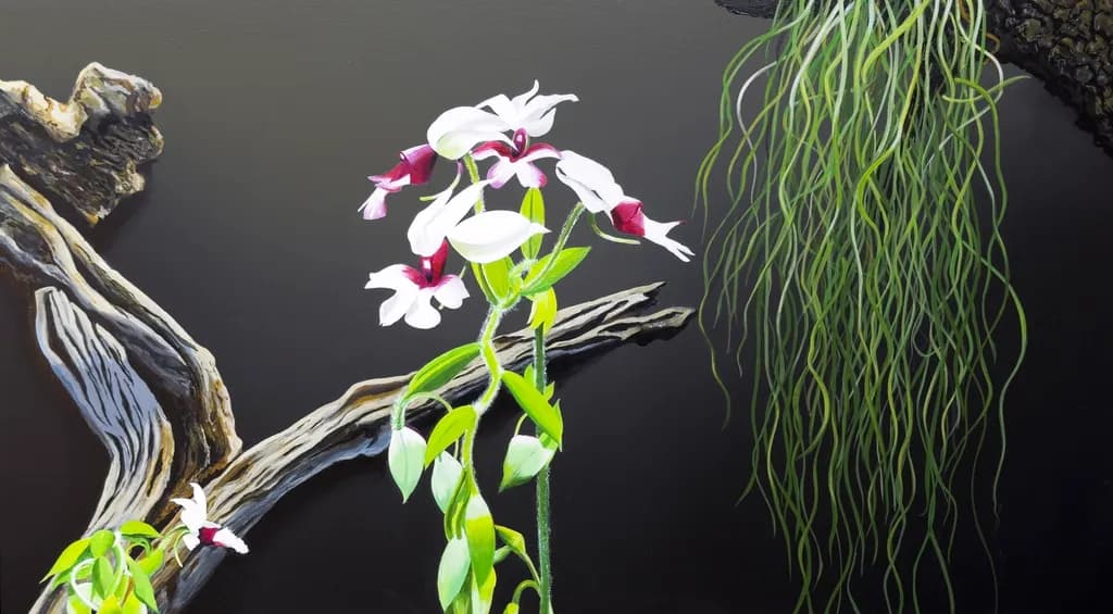 Orchids