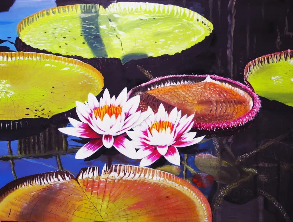 Water Lilies Harmony