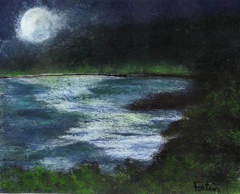 Moonlit Serenity: A Tranquil Night Landscape by the Water