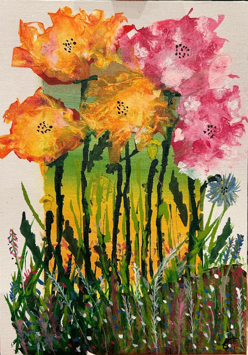 Vibrant Blossoms: A Dance of Color in Nature's Embrace