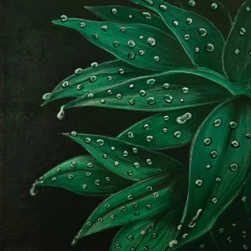 Lush Green Serenity: A Close-Up of Dew-Kissed Leaves on a Dark Canvas