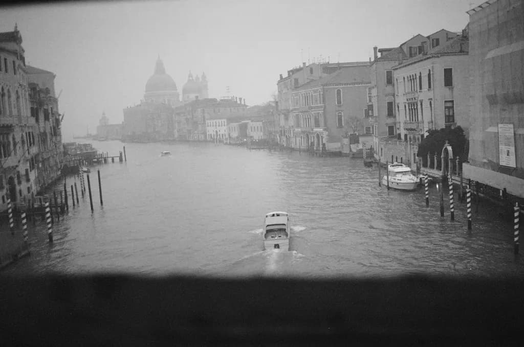 Venetian Mist