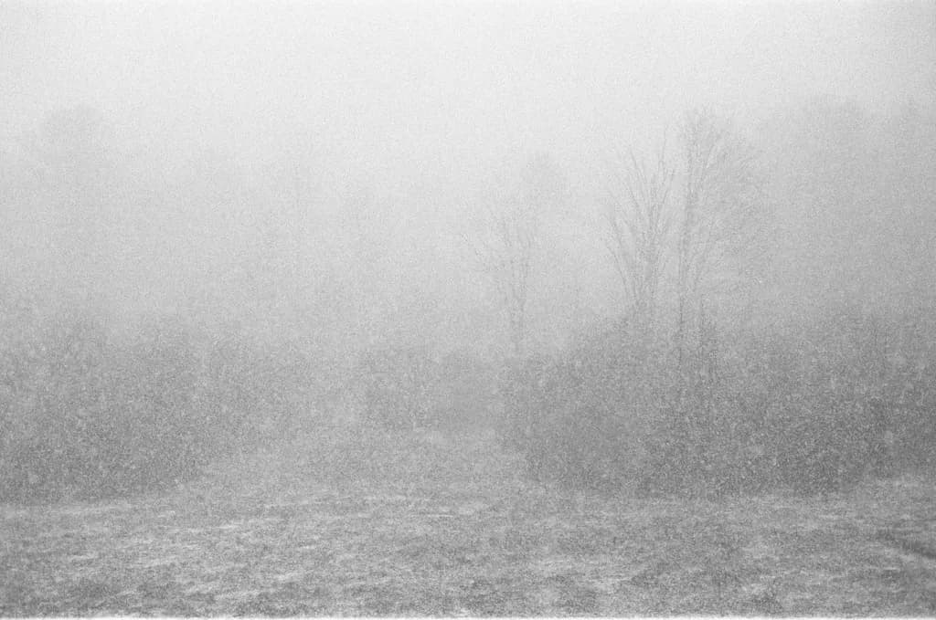 Winter's Embrace