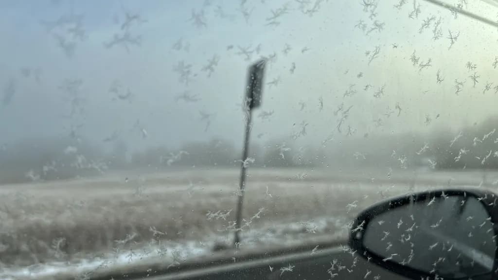 Frosty Views