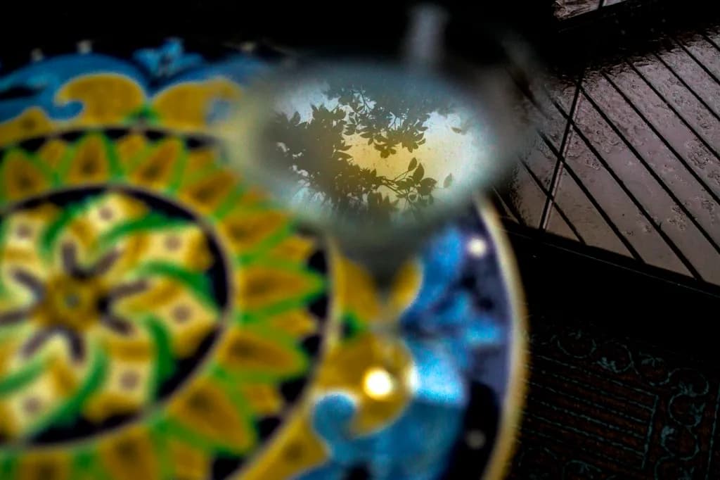 Reflections of Nature: A Rainy Day's Embrace on Vibrant Patterns