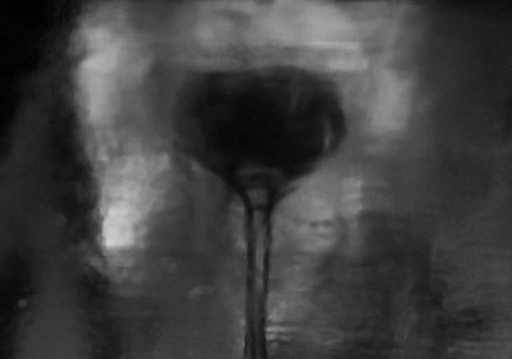 Distorted Vessel