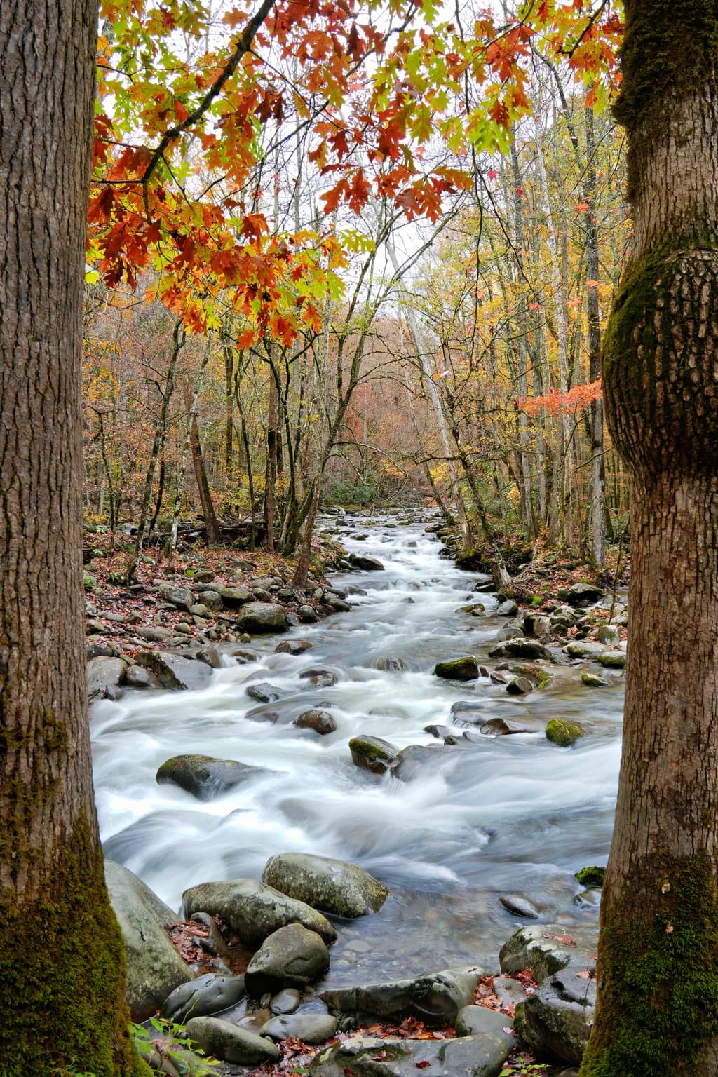 Little River