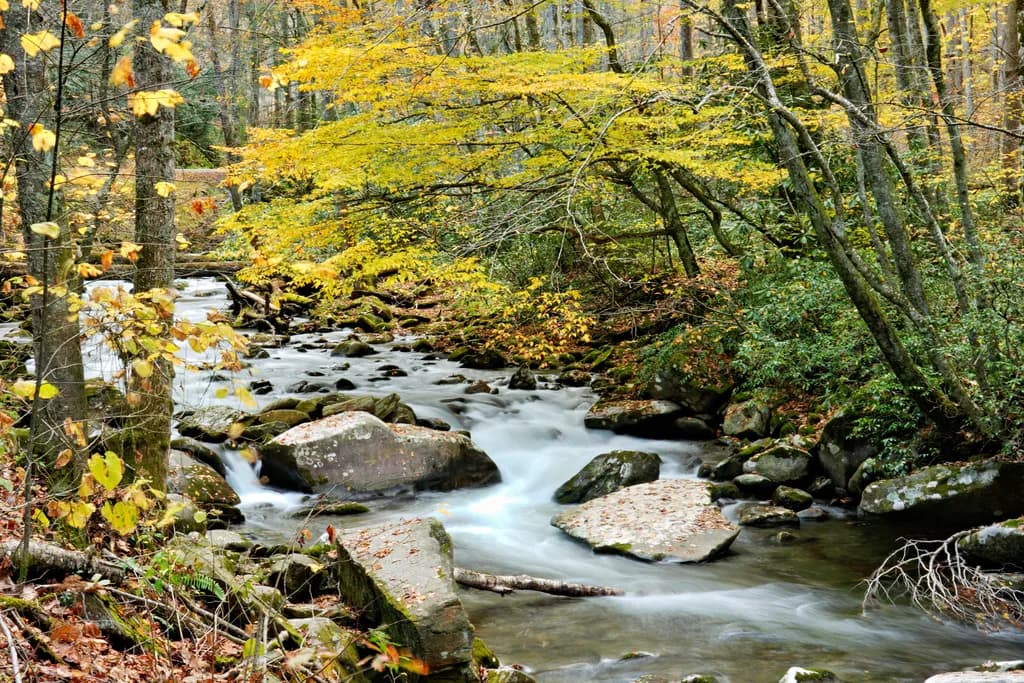 Oconaluftee River