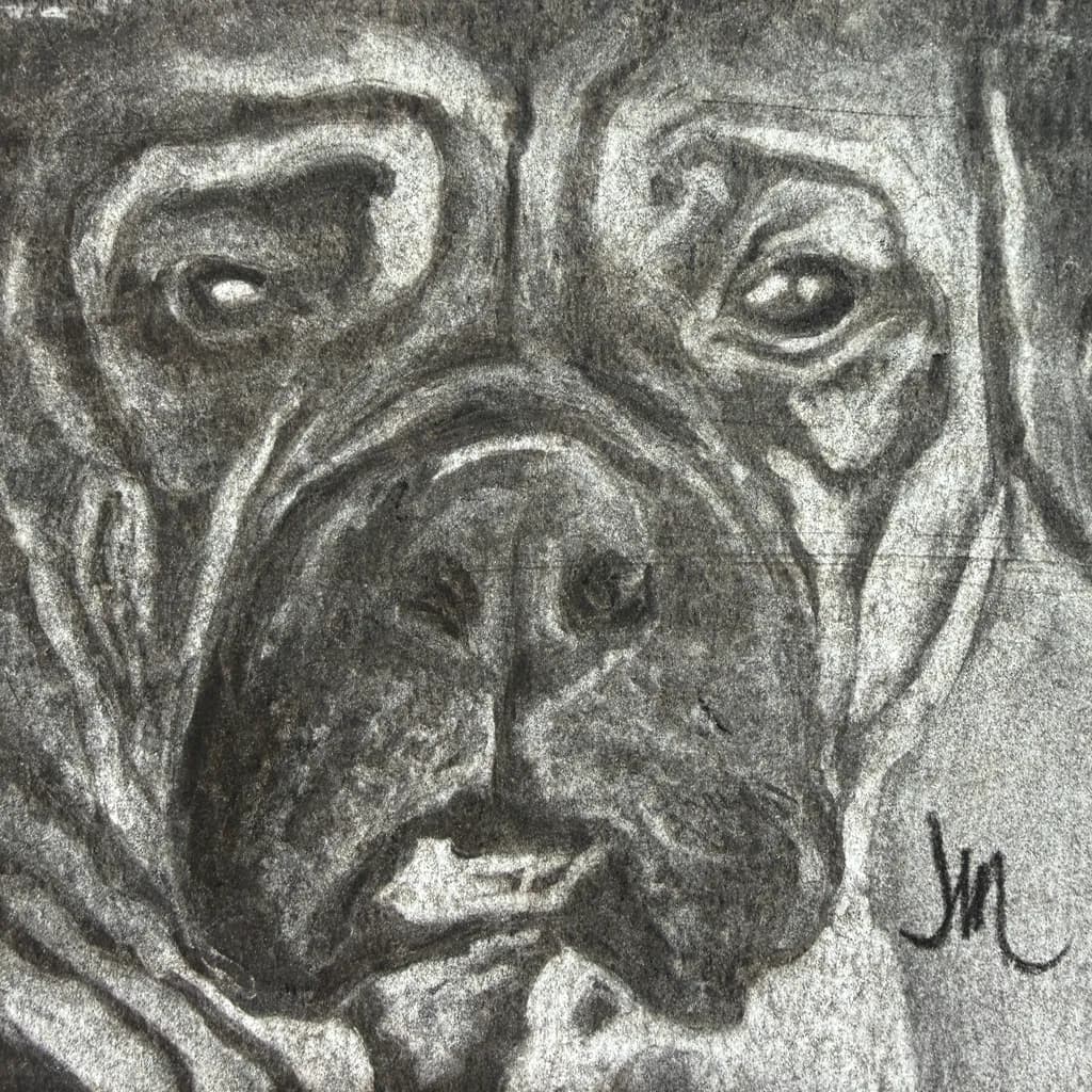 Charcoal Gaze