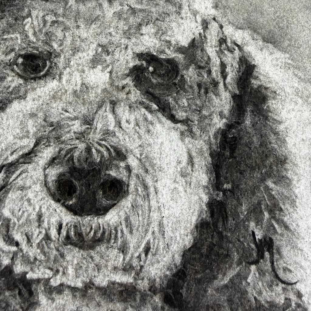 Textured Canine Gaze