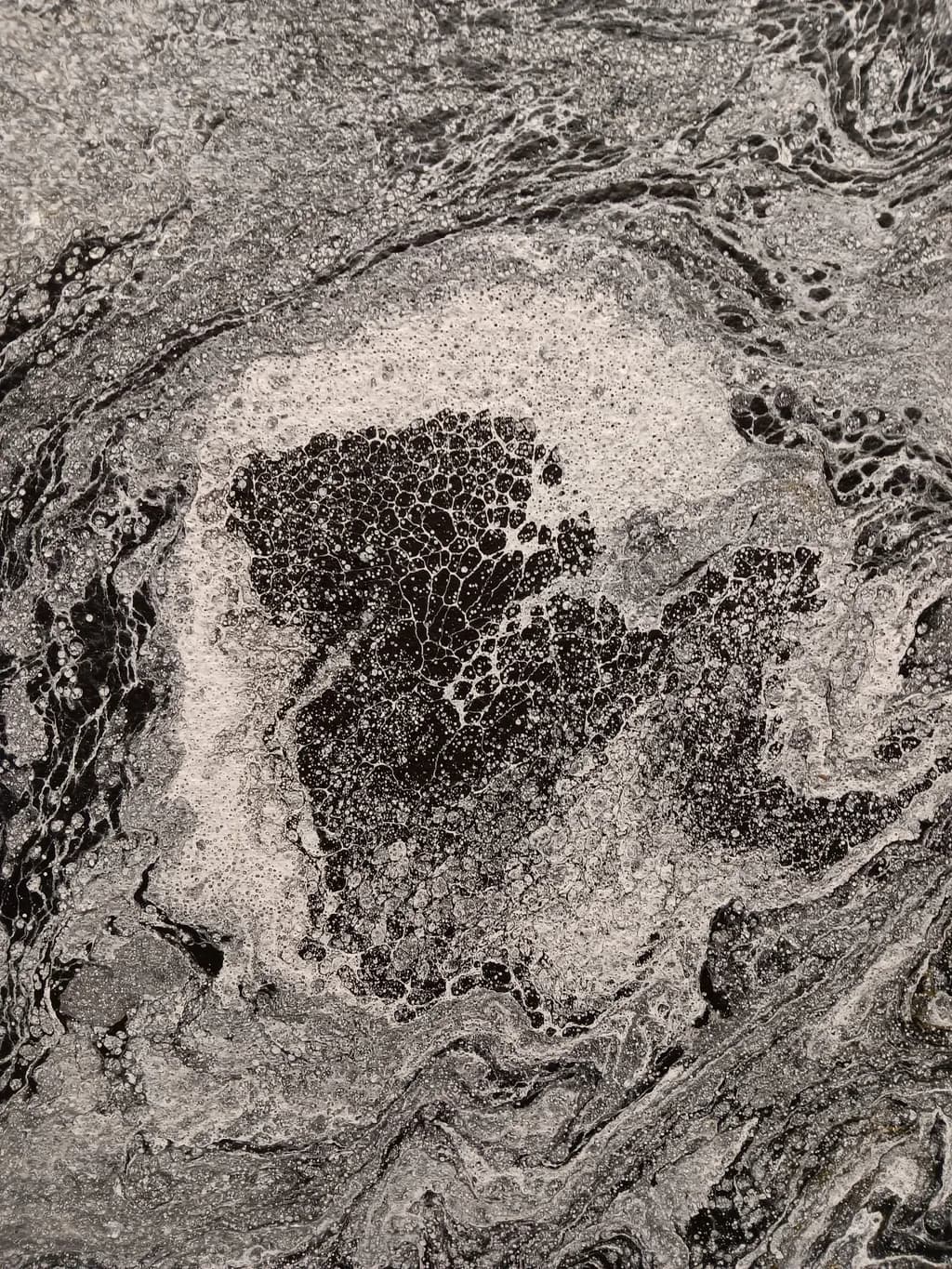 Ethereal Waves: A Dance of Black and White Textures in Fluid Art