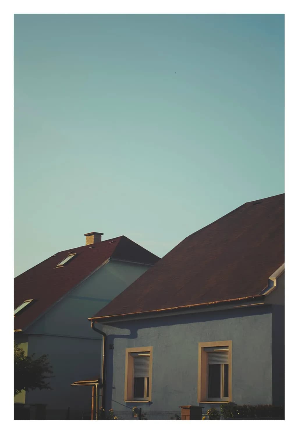 Whispers of Home: A Serene Evening in Suburban Harmony