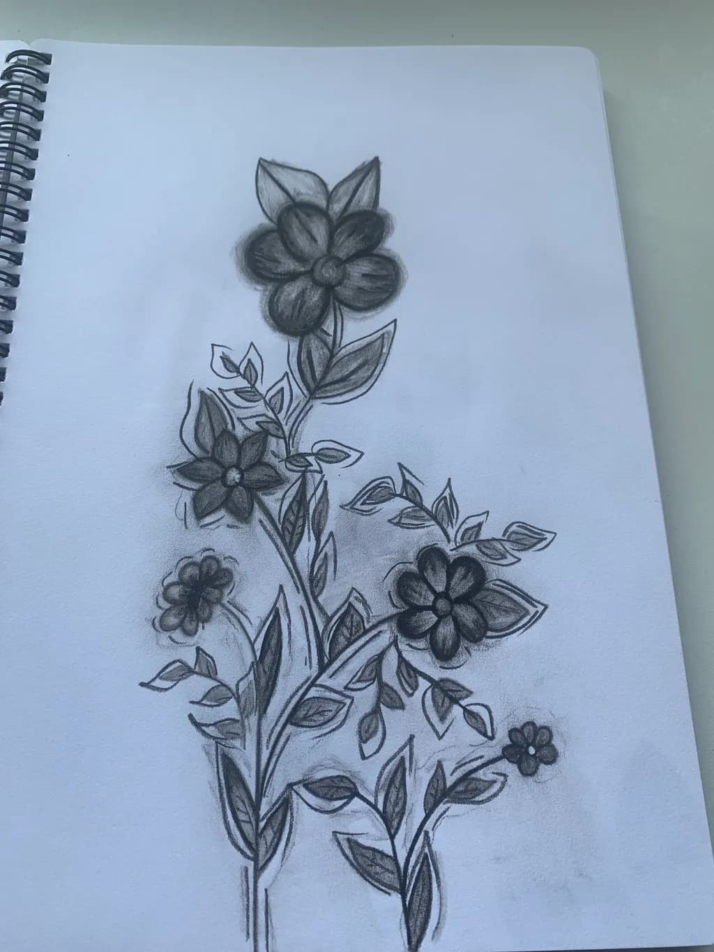 Whispers of Nature: A Charcoal Floral Study