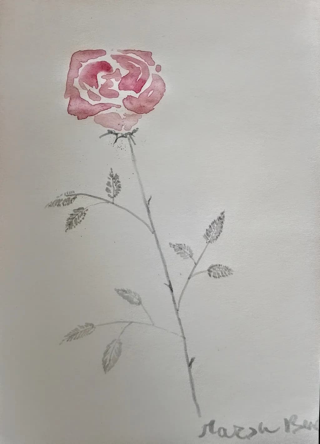 Whispers of a Rose: A Delicate Watercolor Bloom