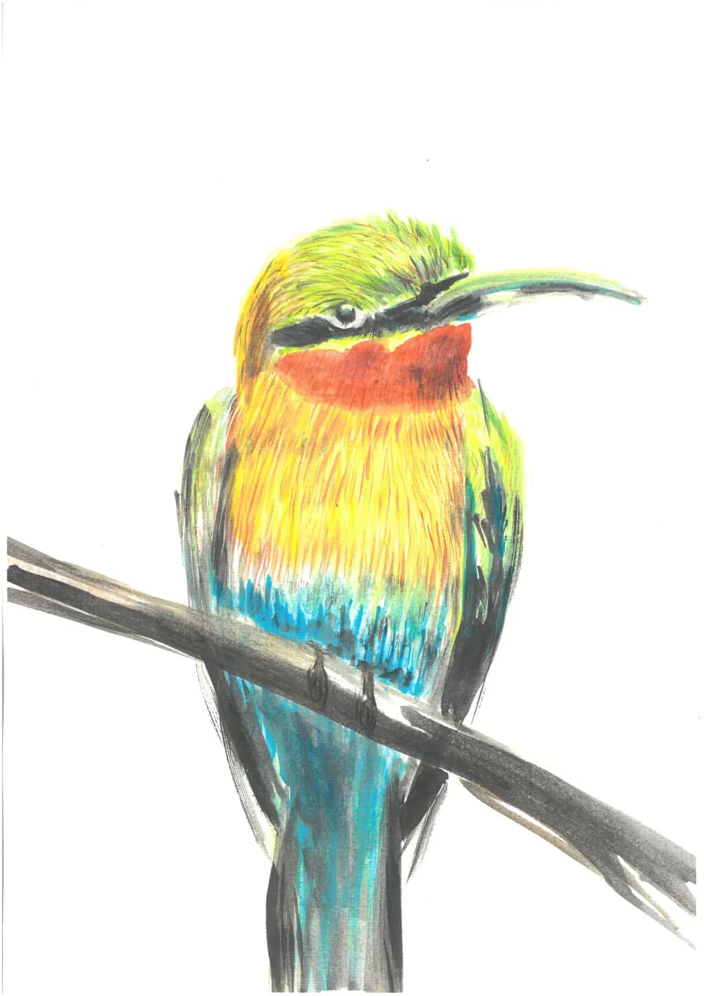Vibrant Feathers: A Colorful Bird's Portrait in Nature's Embrace