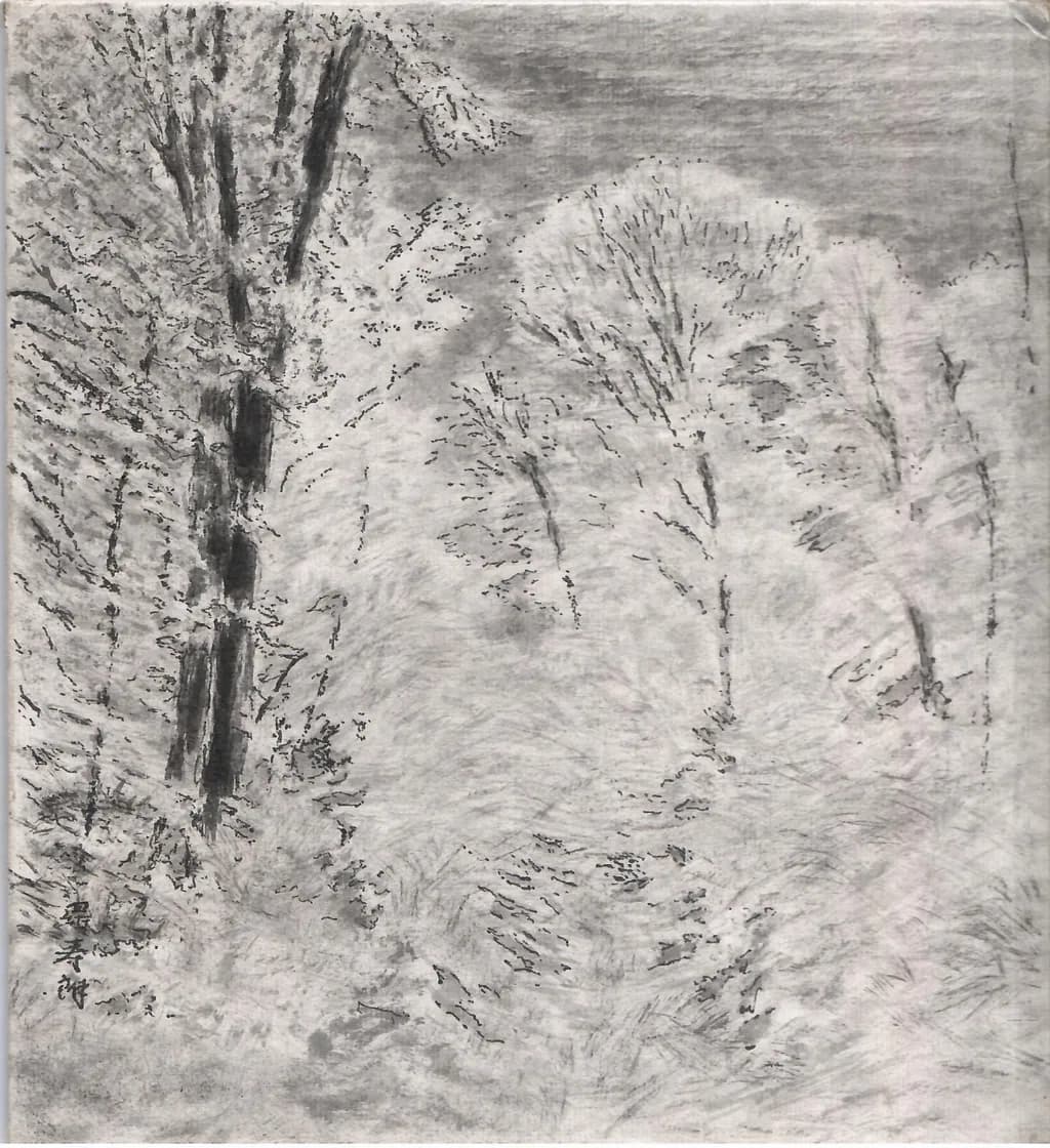 Whispers of Winter: A Serene Forest in Monochrome