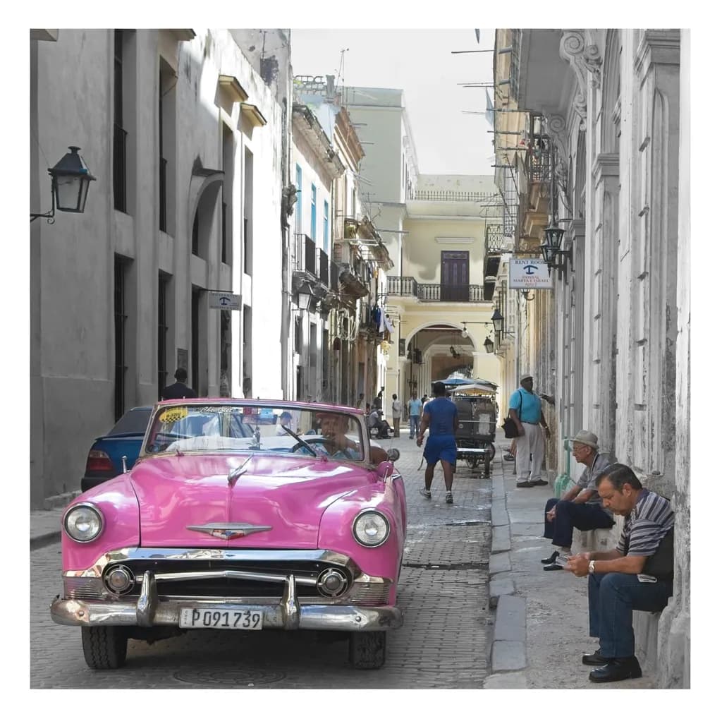 Pink Classic Havana