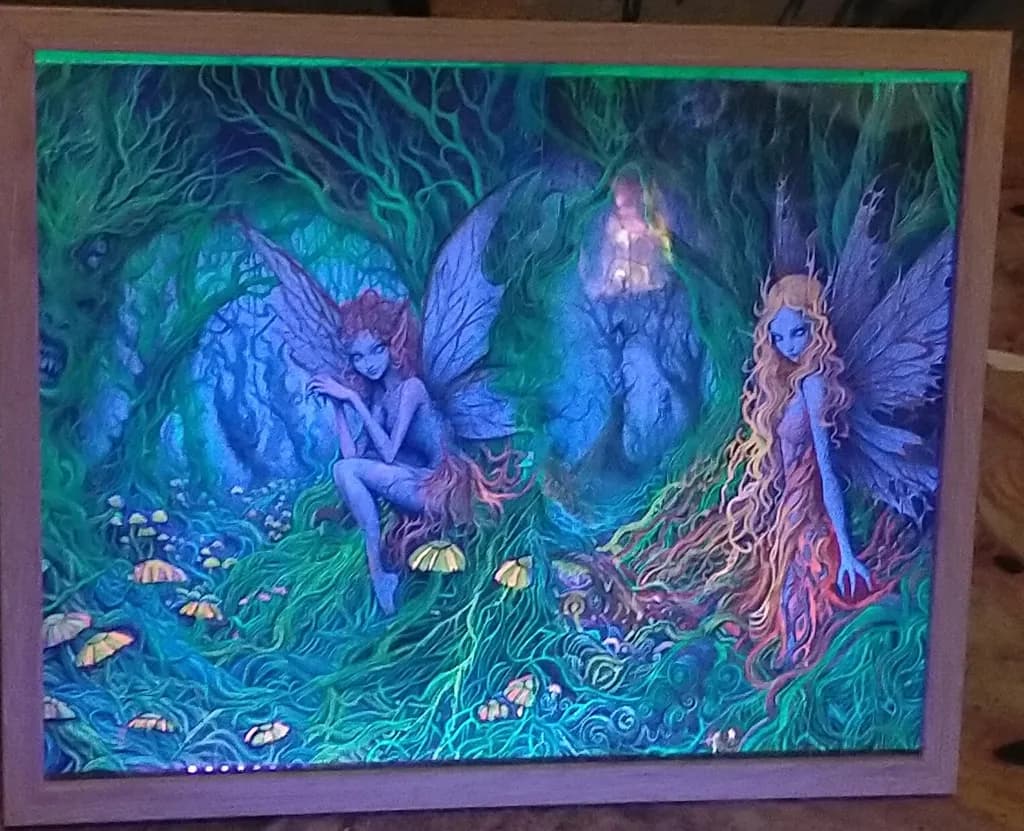 Forest Fairies Glade