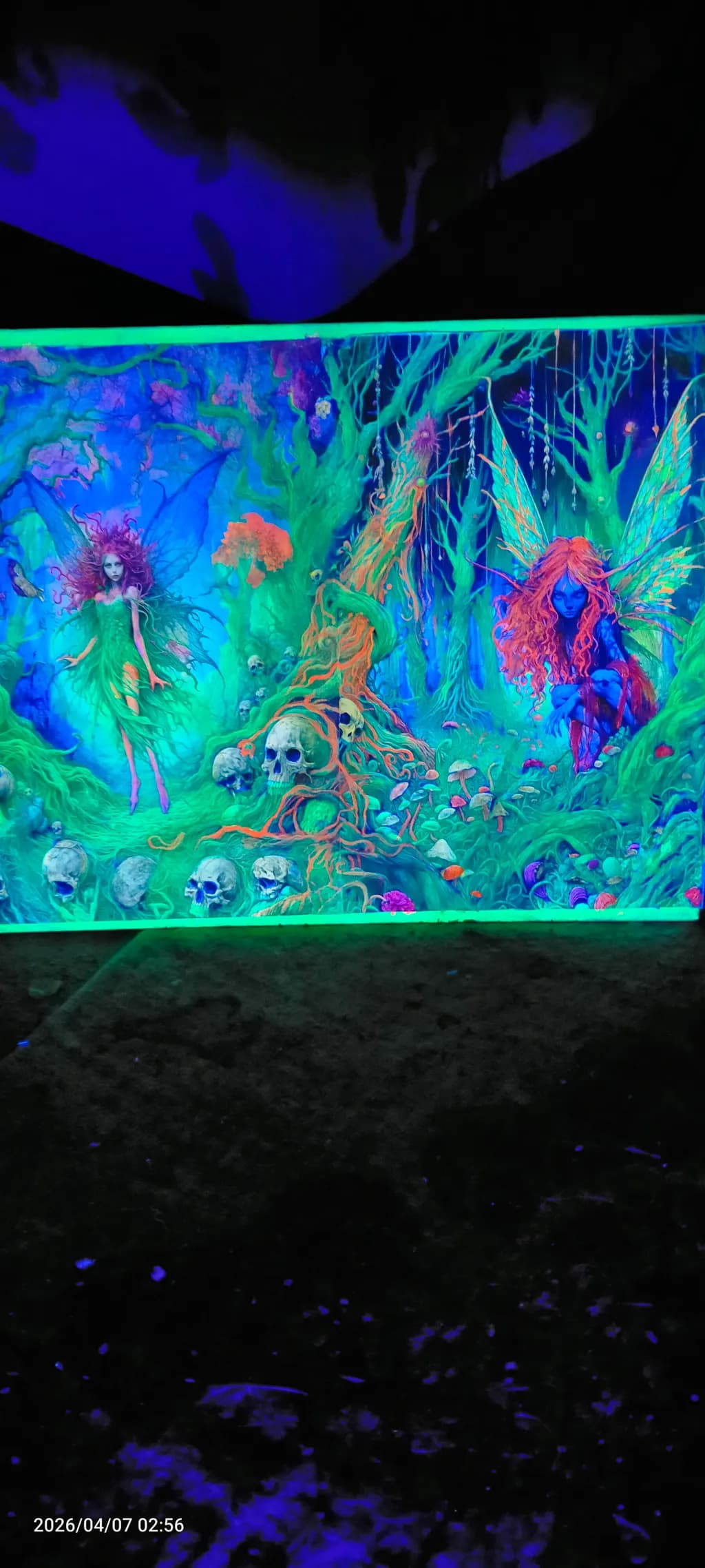 Enchanted Skull Forest