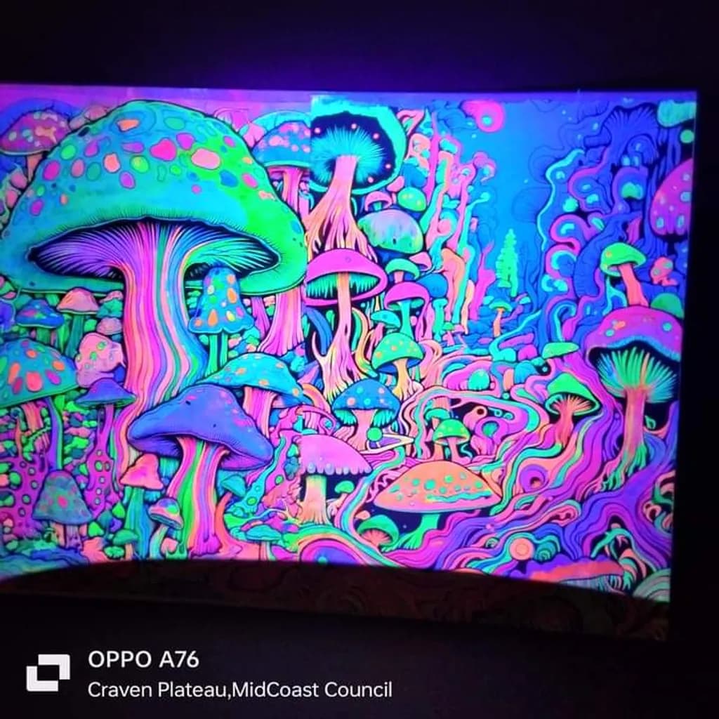 Psychedelic Mushrooms Forest