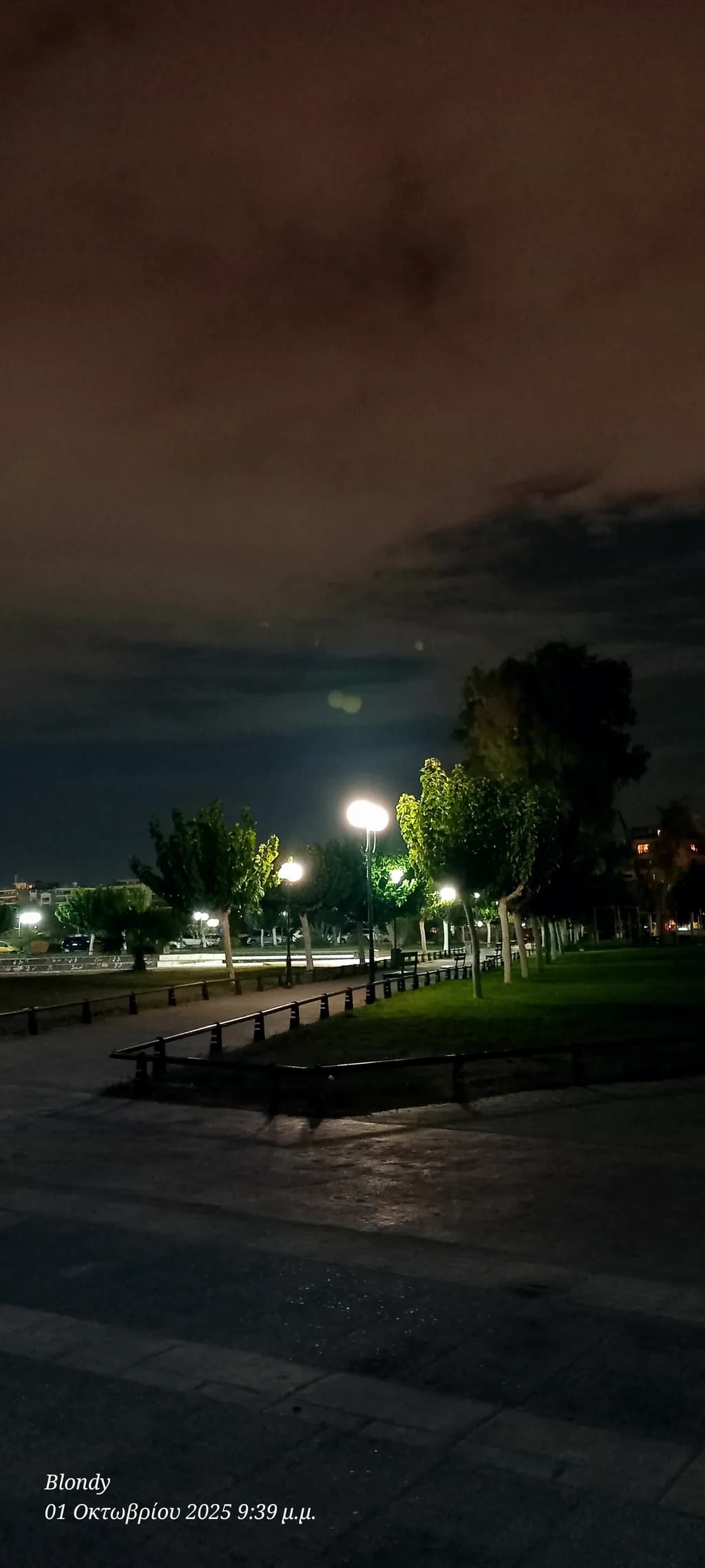 Whispers of Night: A Serene Stroll Through the Illuminated Park Pathway