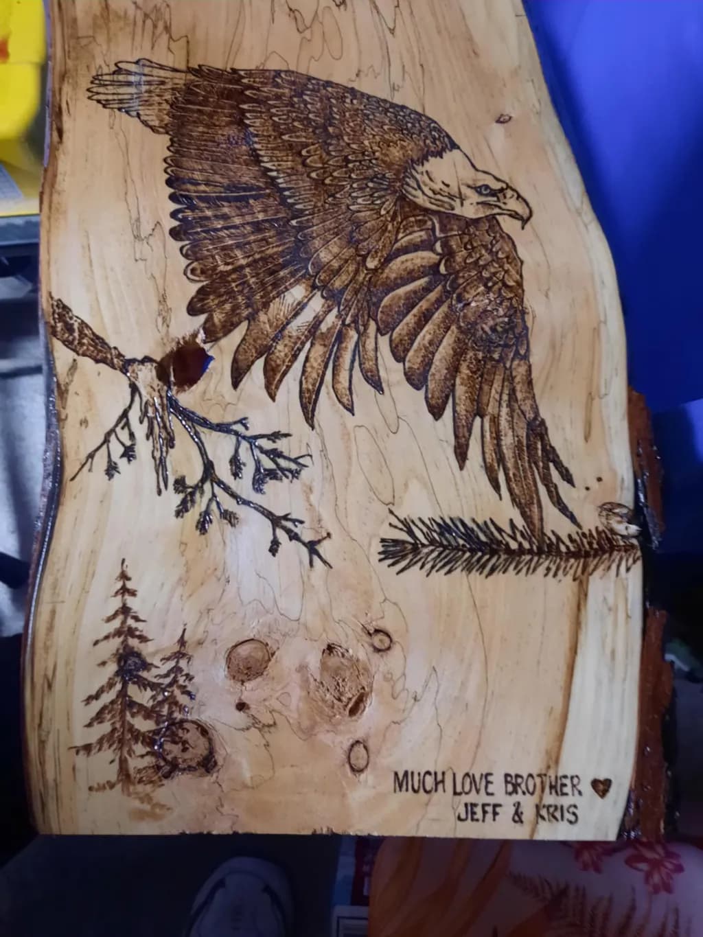 Soaring Eagle Tribute