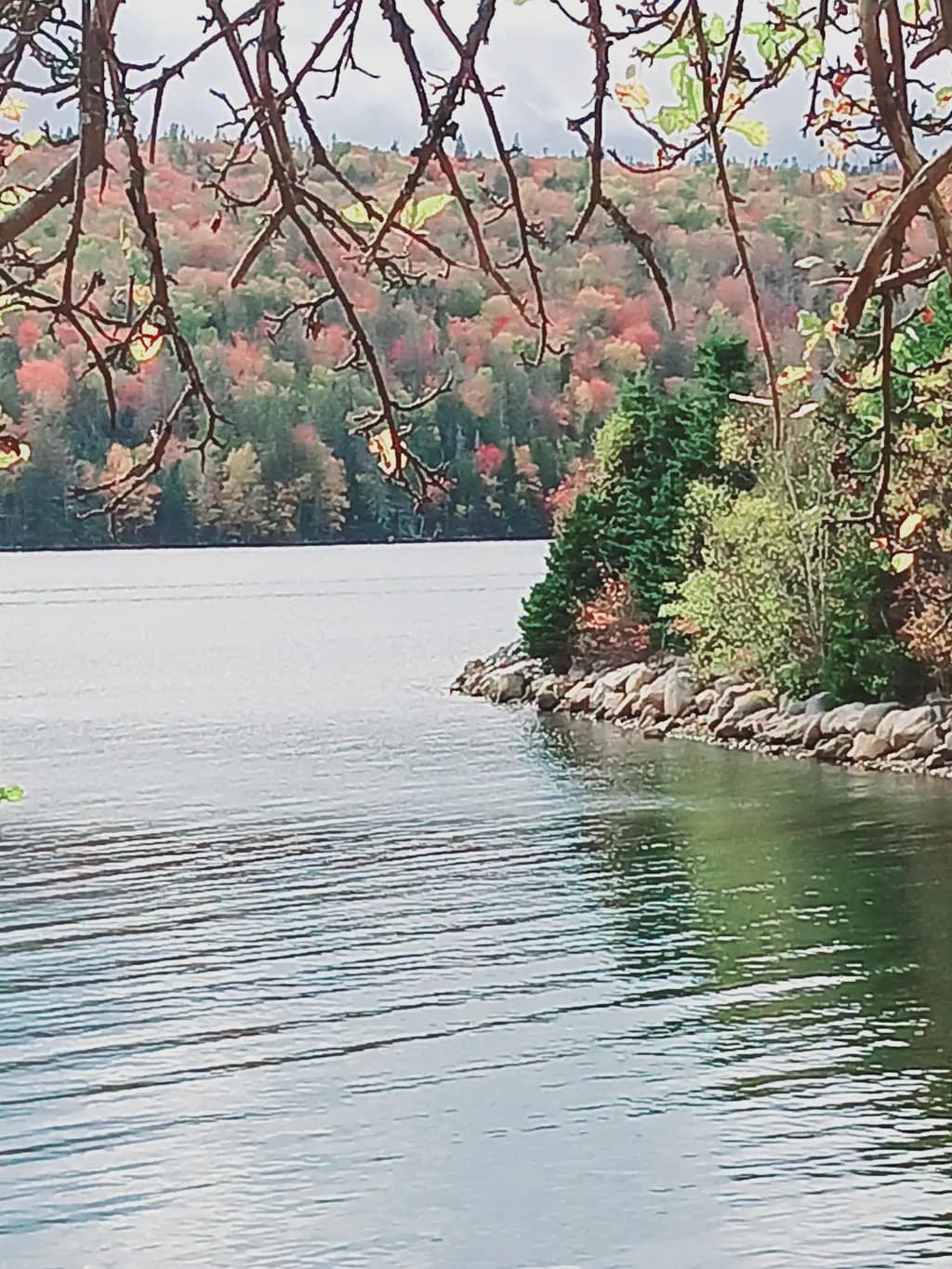 Whispers of Autumn: A Serene Lakeside Reflection