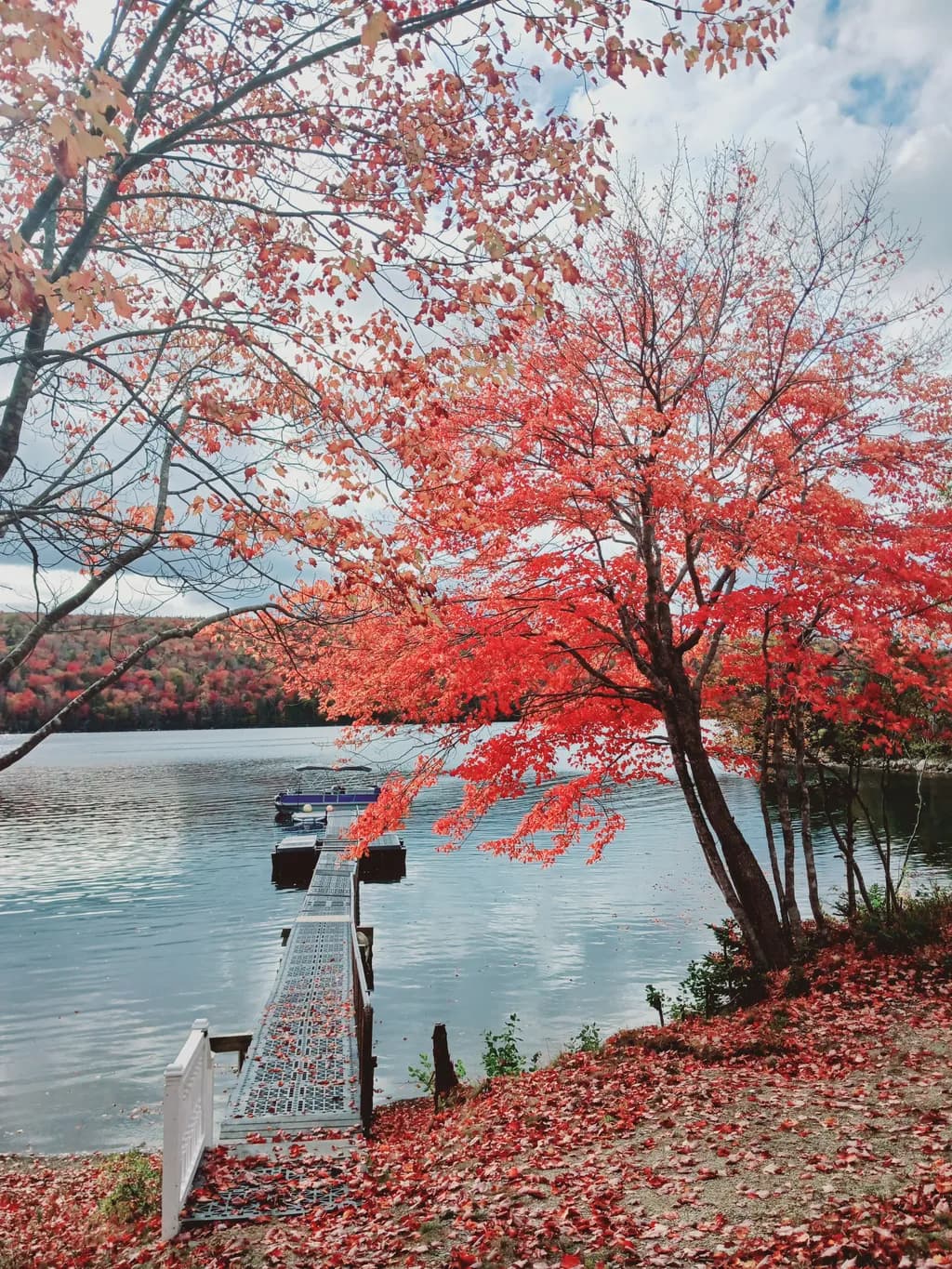 Autumn's Embrace: A Serene Lakeside Retreat Amidst Fiery Foliage