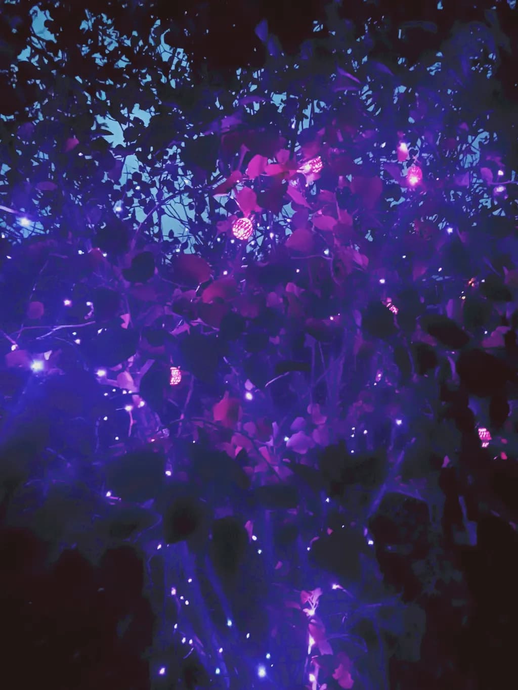 Whispers of Light: A Nighttime Dance of Glowing Leaves and Colors