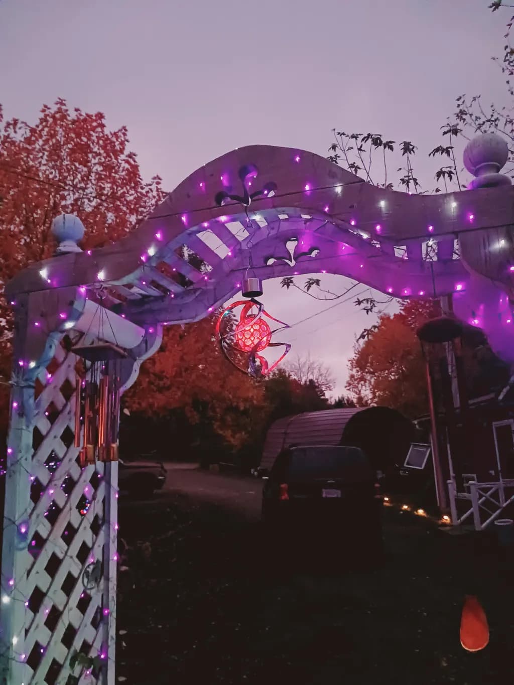 Whimsical Twilight: A Luminous Garden Archway Adorned with Purple Lights and Autumn Hues