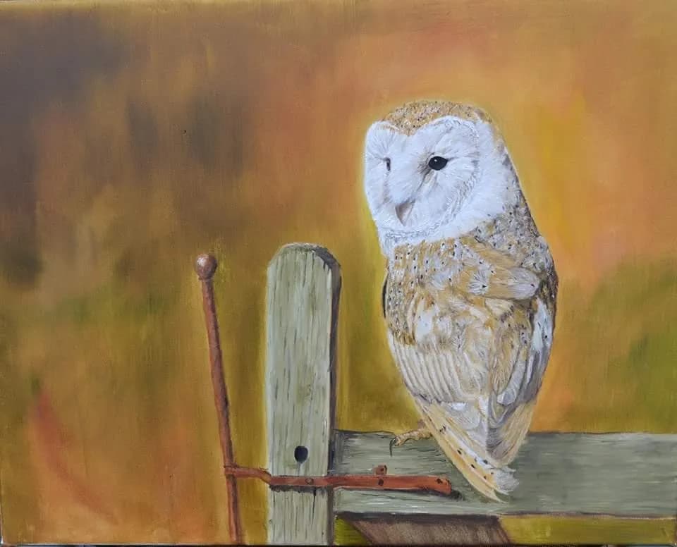 Whispers of the Night: A Serene Barn Owl Perched on Weathered Wood