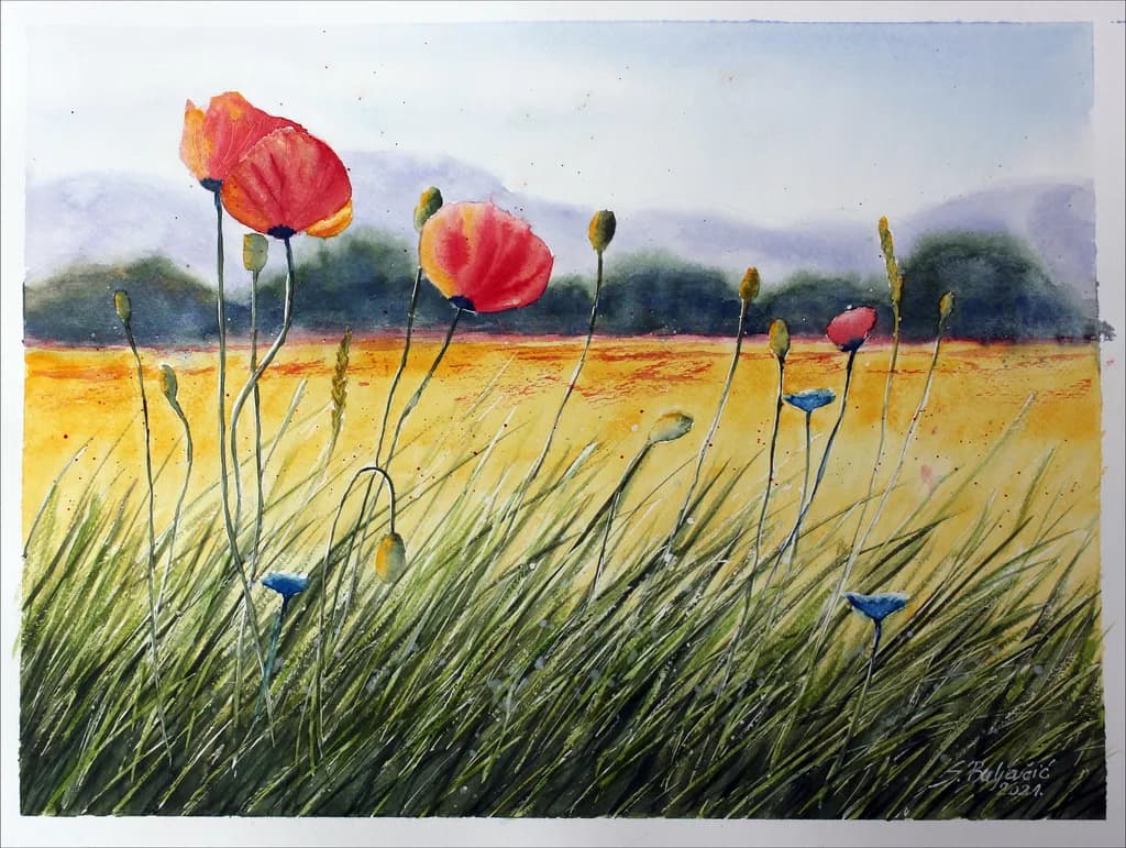 Whispers of Spring: A Vibrant Dance of Poppies in Golden Fields