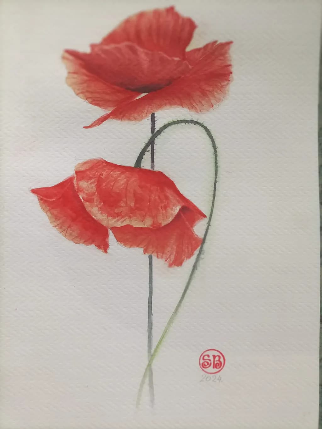 Whispers of Red: A Delicate Dance of Poppies in Watercolor