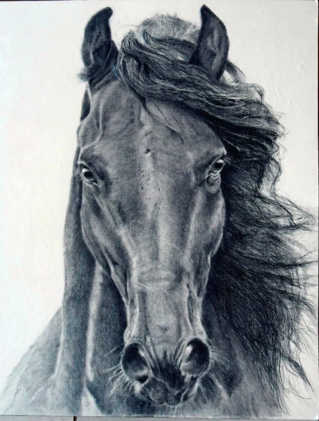 Majestic Stallion
