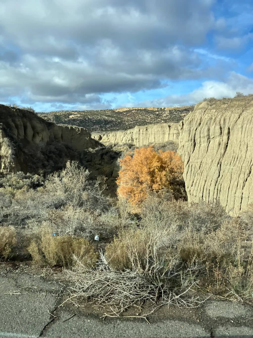 Autumn Canyon Glow