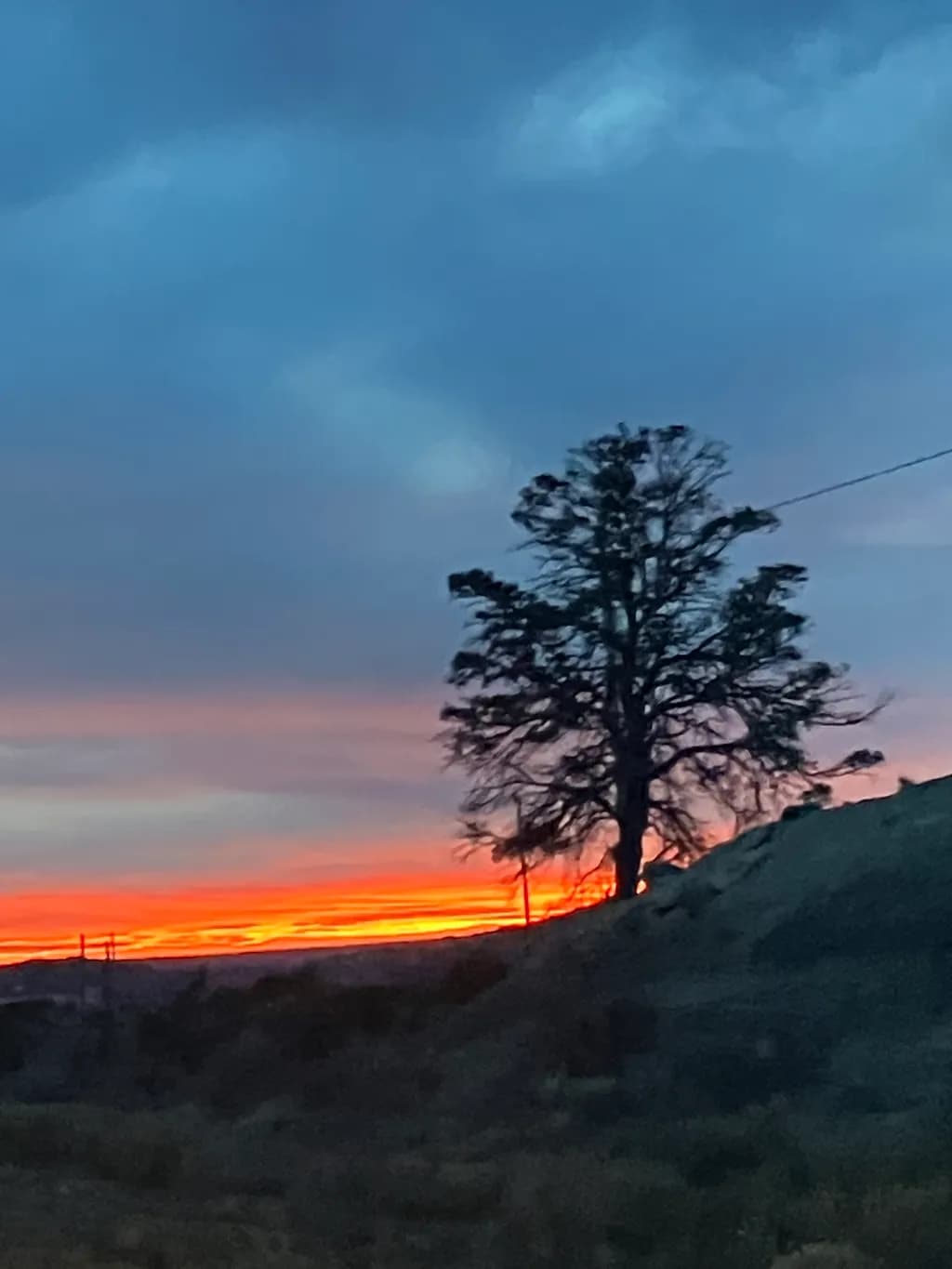 Sunset Silhouette
