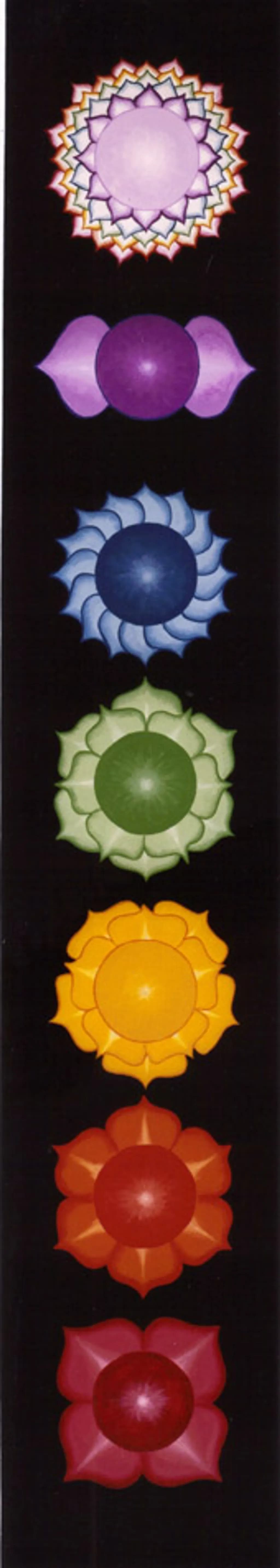 Chakra Blossoms