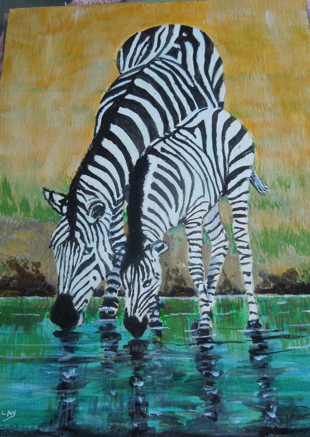 Zebras at Waterhole