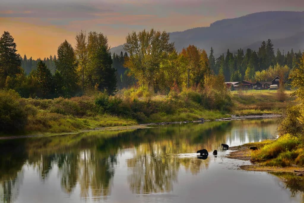 Serenity at Dusk: Bears by the Tranquil Riverbank in Autumn's Embrace