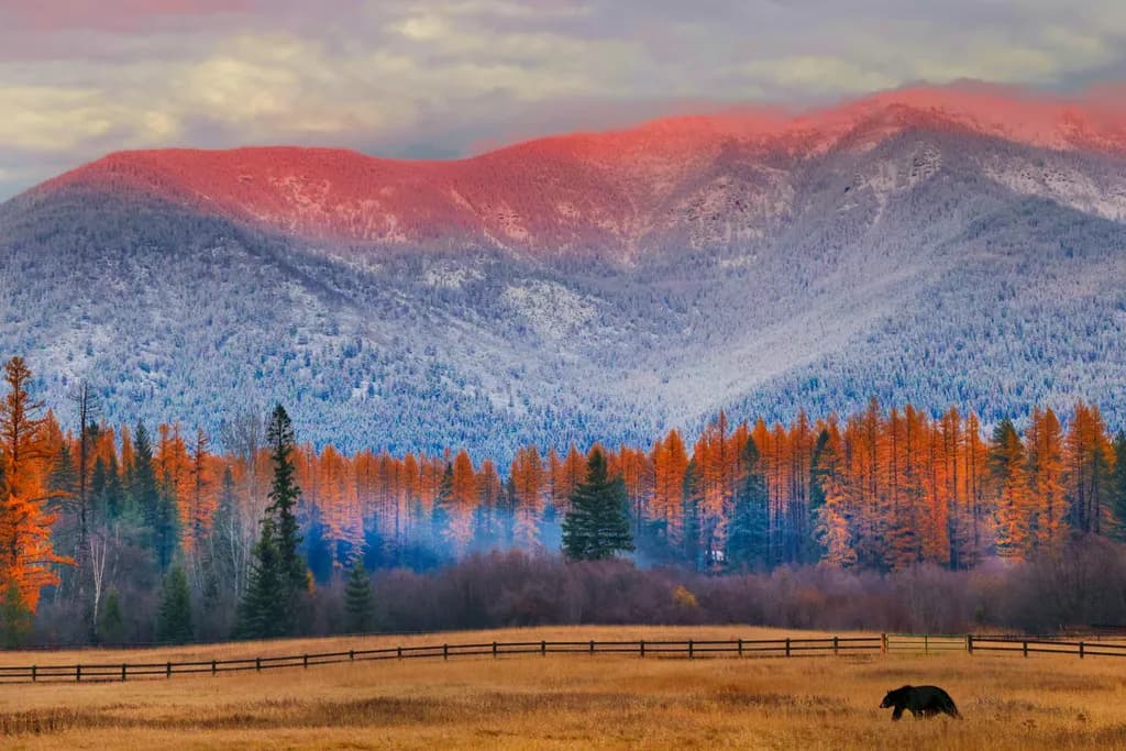Whispers of Autumn: A Serene Landscape of Majestic Mountains and Golden Pines