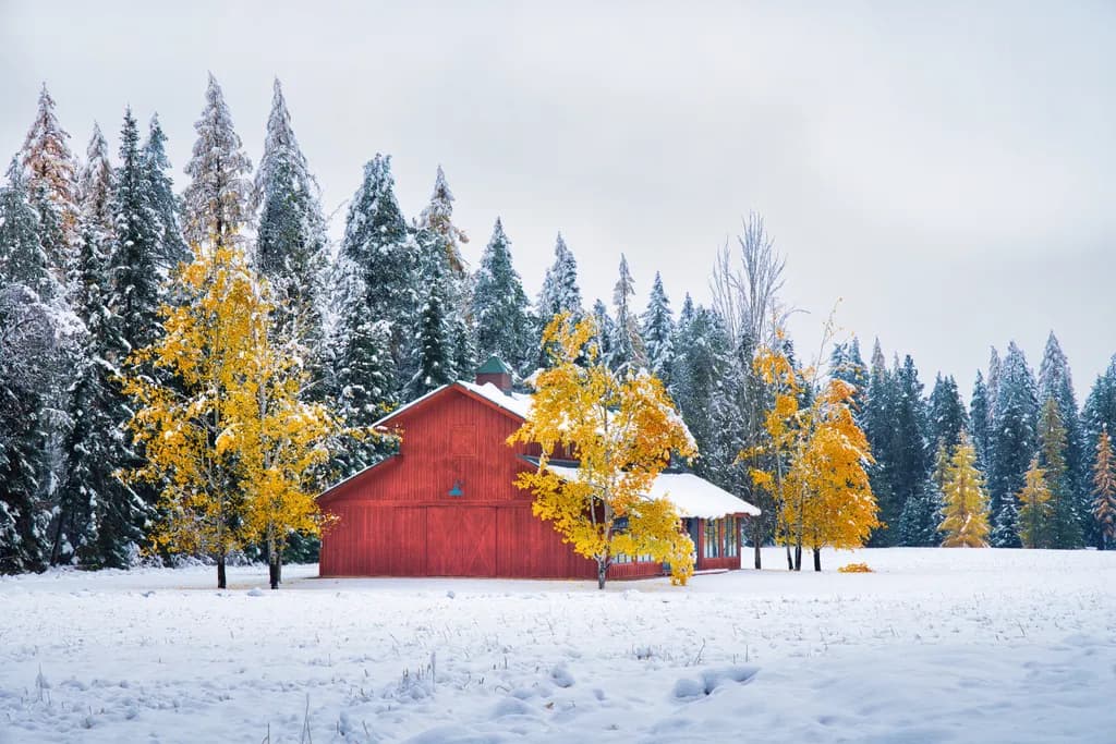 Winter Barn Serenity