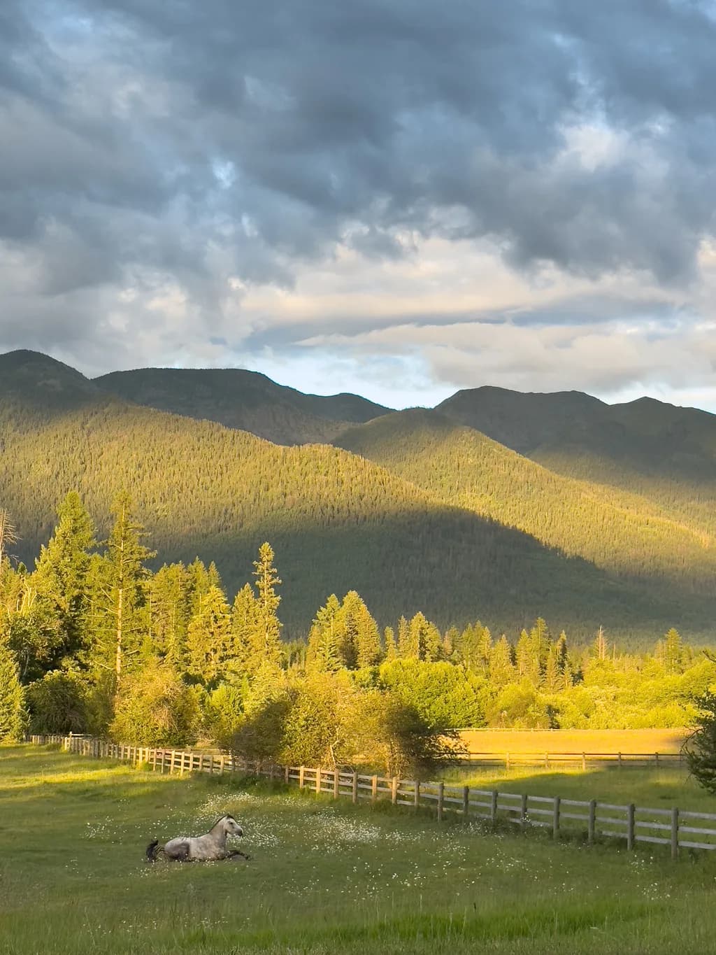 Mountain Pasture Rest