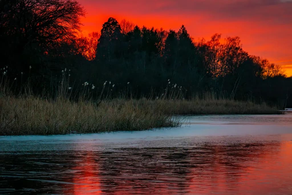 Whispers of Twilight: A Serene Reflection on the Water's Edge at Sunset