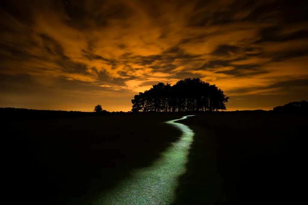 Whispers of Light: A Serene Path Through the Night Sky