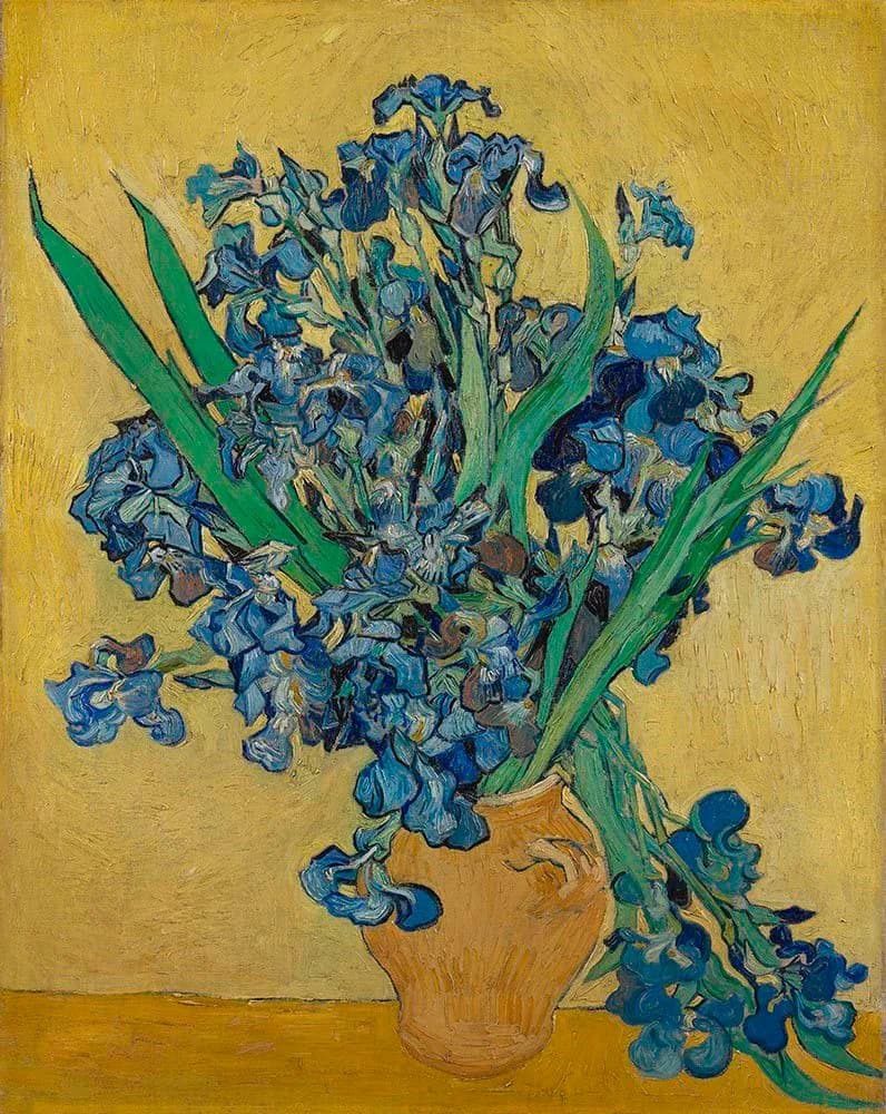 Vibrant Irises: A Dance of Blue and Yellow in Nature's Embrace