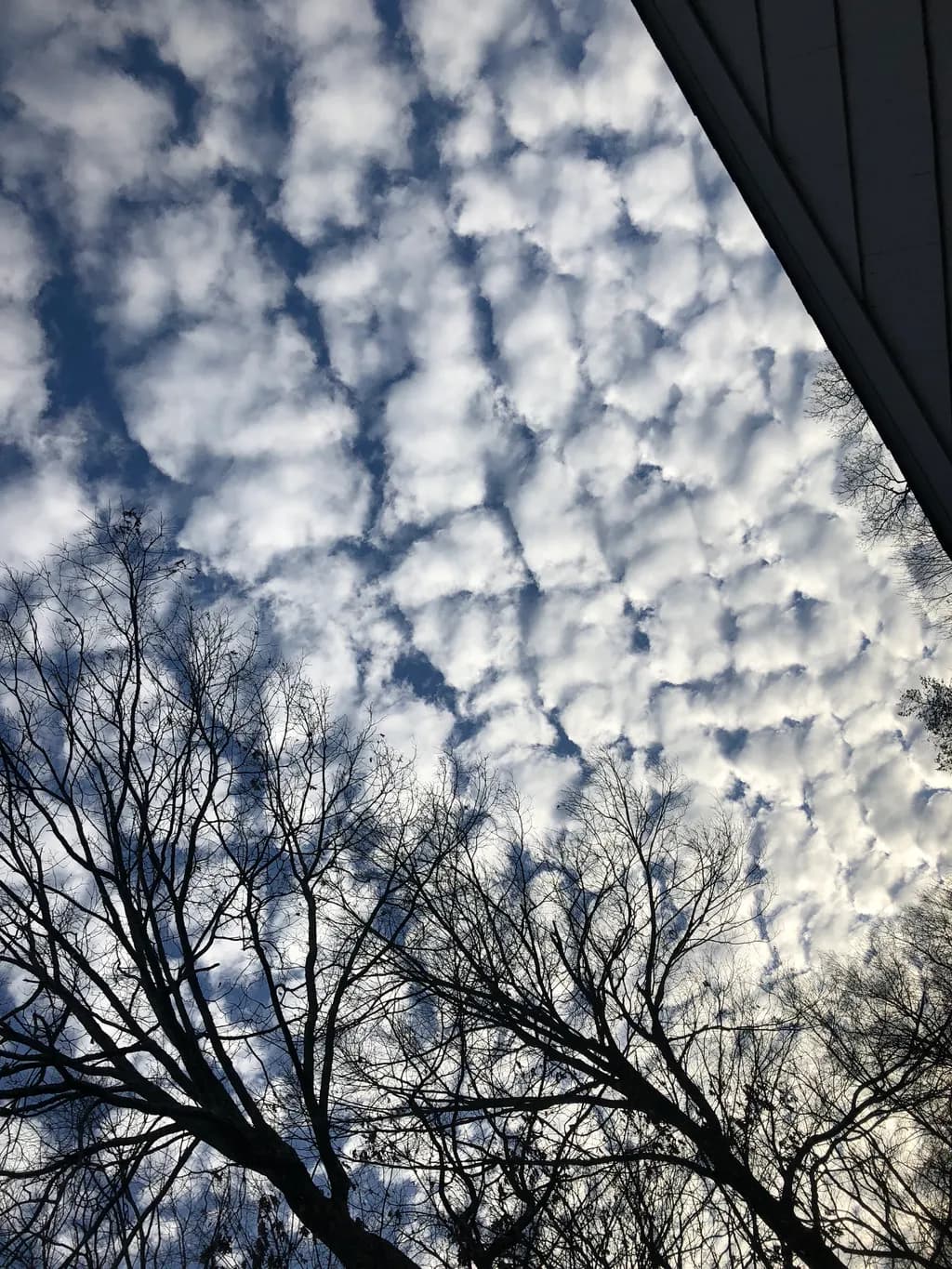 Cloudscape Silhouette