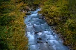 Autumn River Flow